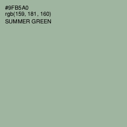 #9FB5A0 - Summer Green Color Image